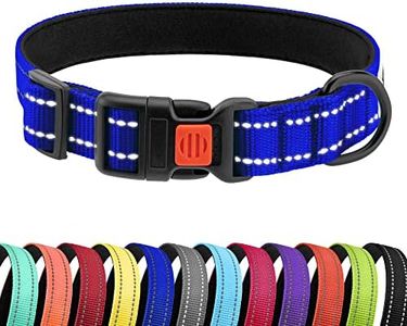 CollarDirect Reflective Dog Collar for a Small, Medium, Large Dog or Puppy with a Quick Release Buckle (Blue, 10-13 Inch)