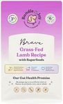 Bundle x Joy Brave Probiotic Dog Food Dry, Lamb, 18lb Bag, Natural Grain Free Adult Kibble for Digestive Health Made with Real New Zealand Lamb, 20 Plant Based Superfoods, Corn, Poultry & Soy Free