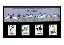 The ROYAL SOCIETY for the PROTECTION of BIRDS 1989 PRESENTATION PACK Royal Mail Mint British Collector Stamps * MNH * No. of Stamps: 4 *Guaranteed Brand New, Well-Packaged, Gift-Wrapped Free