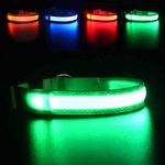 MASBRILL Light Up Dog Collar, LED Dog Collar Lights for the Dark, Rechargeable and Waterproof Flashing Dog Collars with 3 Glowing Modes, Adjustable Pet Collar for Small/Medium/Large Dog(Green M)