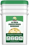 Freeze Dried Banana Slices 10-Bag Bucket, 53 Oz | Premium Emergency Food Supply 25 Year Shelf Life | Prepper Supplies, Survival Food, Off Grid Living Supplies | Valley Food Storage Packaged in USA