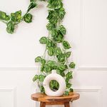 BS AMOR Artificial Creeper Money Plant Leaf Garland | Wall Hanging | Speacial Ocassion Decoration | Home Decor Party | Office Festival Theme Decorative Length 6 Feet Pack Strings (8)