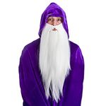 Wicked Costumes Adult Deluxe Long White Beard Fancy Dress Accessory