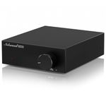Nobsound Mini Mono Subwoofer Amplifier: 100W HiFi Amp with TPA3116 & Low-Pass-Filter for Home Theater, Bass Shaker, Gaming, Subwoofer, Speaker (NS-21G)