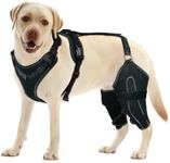 LISPOO Dog Knee Brace for Torn ACL/CCL Hind Leg,Adjustable Support with Sufficient Wrapping and Support & Luxating Patella,Non-Slip Joint Brace,Pain Relief&Better Recovery-Both Leg/L