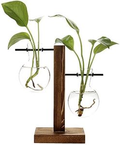 belupai, vasi da pianta per idroponica, vaso da fiori in stile vintage, vaso trasparente con struttura in legno e vetro, per piante da tavolo, bonsai da casa, decorazione, B - 2 Bulb Vase