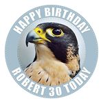 Falcon Bird of Prey Cake Topper 7.5 Inch Personalised Edible on Icing Sheet with HI-RES Image