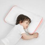 RESTIRY Toddler Pillow 2-6 Year Old