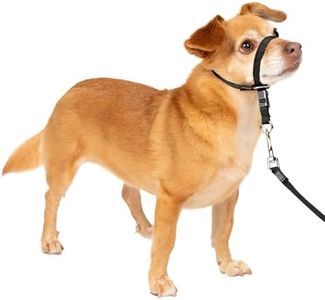 PetSafe Gentle Leader No-Pull Dog Headcollar - The Ultimate Solution to Pulling - Redirects Your Dog's Pulling for Easier Walks - Helps You Regain Control - Petite, Black