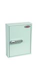 Phoenix Safe Company – KC0601E Commercial Key Cabinet - 42 Hooks | Electronic Lock | Key Holder Wall Mounted Power Coated Paint | 4kg