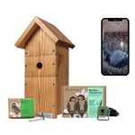 Green Feathers WiFi Birdbox Camera & Bird Box, 1080p HD Smart Camera with Recording and Night Vision, Wildlife Viewing on Phone - Starter Pack