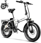 1000W Folding Electric Bike, 48V 20