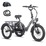 Fafrees F20 Mate Electric Tricycle for Adults, Electric Bike 48V 18.2Ah Removable Battery, 70km Range,20 x 3.0 Fat Tyres, Folding Electric Trike Cargo Ebike, Dual Suspension (Black)