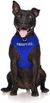 Dexil Limited THERAPY DOG Blue Color Coded Non-Pull Front and Back D Ring Padded and Waterproof Vest Dog Harness PREVENTS Accidents By Warning Others Of Your Dog In Advance (XS)