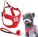 Winmany Adjustable Dog Harness No Pull Pet Puppy Vest Harness Lead Sets Reflective Number Printed Chest Strap for Small Medium Dog Cat (Red, S)