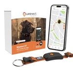 Weenect Dog XT - NEW GPS Collar for Dogs | XL Antenna | Waterproof | Ultra-Durable Integrated Julius-K9 Orange Collar Subscription required