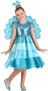 Fun Costum
