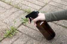 WEED CONTROL LIQUID for removing unwanted plants 1 Lit