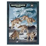 GAMES WORKSHOP 99120101221" Space Wolves Fenrisian Wolf Pack Plastic Kit