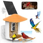 SOLIOM BF09 Bird House with Camera, Feeding Stations for Wild Birds, Bird Feeder with 1080P Camera, Automatic Recording, Instant Notifications