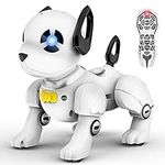 Remote Control Robot Dog Toy, RC Do