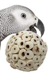 3 Sola Atta Balls 2.75" Bird Toy Parrot Foraging Foot Craft Part talon Cage