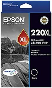 Epson C13T