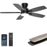 Ohniyou 42'' Ceiling Fans with Lights, Low Profile Ceiling Fan with Light and Remote/APP Control, Modern Flush Mount Ceiling Fan for Indoor Bedroom Kitchen, Dimmable, Qiuet DC Motor, Black