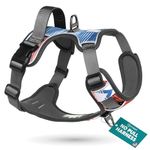 Embark Pets Urban Dog Harness - No Pull, Safe & Comfortable for Large Dogs, Medium & Small Dogs or Puppy. Soft, Adjustable, Reflective Trim
