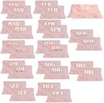 AIEX Monthly Tabs Calendar Stickers, 24Pcs Adhesive Index Tabs for Planners, Journal, Notebook, Agendas and Organizers, Paper Material, Pink