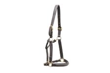 Aces Equine LEATHER HORSE ADJUSTABLE HEADCOLLAR HALTER FULLY RAISED AND PADDED BRASS FITTING (BROWN) (X-FULL)