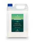 Hand Cleansing Sanitiser Foam, No Alcohol Foaming Hand Sanitizer Dispenser - Mint & Eucalyptus - 5 Litre Refill