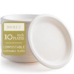 Brheez 25.5 cm (10 inch) Heavy Duty Plates 100% Natural Sugarcane Biodegradable Compostable Bagasse, Eco-Friendly Paper Alternative - Pack of 60