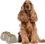 DOG CENTRE 2x 0.6L Grey Spaniel Dog