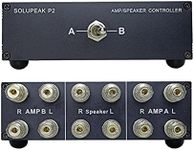 SOLUPEAK P2 2(1)-in-1(2)-Out Amp Am