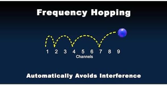 Slide 5