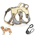 Multi-Purpose Dog Harness with Lead