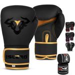 10 Oz Boxing Gloves