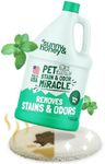 Sunny & Honey Pet Stain Remover - F