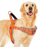 ADVENTUREMORE Dog Harness for Large Dogs No Pull, Sport Dog Halter Harness Reflective Breathable Dog Vest Escape Proof Dog Harness with Easy Control Front Clip Handle for Training Walking XL Orange