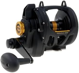 Penn 16VS Squall Lever Drag 2 Speed Reel
