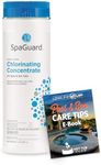 LeisureQuip SpaGuard Spa Chlorine C