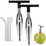 2 Pack Coconut Opener Tool Set with 4 Reusable Straws & Brush, Food Grade Stainless Steel Coco Nut Bottle Opener for Young Thai Green Fresh Coconut Water, Safe and Convenient Coco Drill Punch Tool