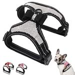 Rhinestone Dog Harness Bling Crystal Nylon Reflective Soft Cute Puppy Collar Vest Diamond Adjustable with Sparkly Bow Tie for Small Medium Large Dogs Cats Pets Boys and Girls Black L