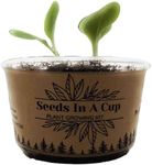 Seeds in A Cup- Tree Growing Kit (J