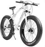 Outroad Fat Tire Mountain Bike 26 I