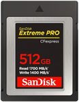 SanDisk Ex