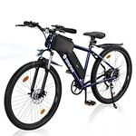 isinwheel M10 Electric Bike for Adu