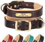 Didog Personalized Dog Collar with Name Plate, Custom Dog Collar with Name and Phone Number, Padded Genuine Leather Dog Collars for Small Dogs, Brown, S