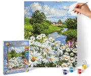 Schipper 609240899 Painting by Numbers - Daisy Meadow - Painting Pictures for Adults Including Brush and Acrylic Paints 24 x 30 cm